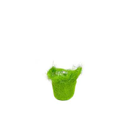 00406158_grunes-sisalgefass