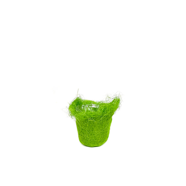 00406158_grunes-sisalgefass