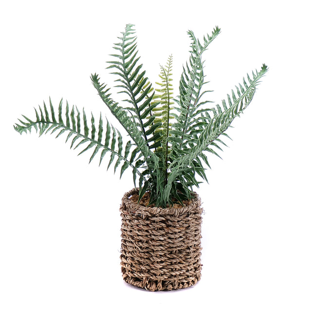 00606719_kunstlicher-farn-im-blumentopf-4-11-5-cm