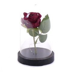 00608493_rote-led-rose-im-glas-18-cm