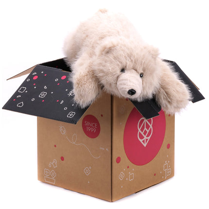 00614008_hellbrauner-teddybar-60-cm