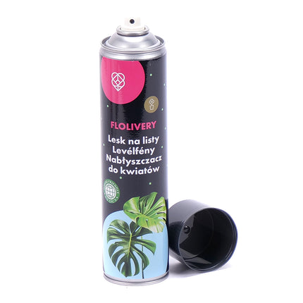 00700109_blattglanzspray-flolivery-650-ml