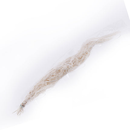 01400001_weisser-amaranthus-blanco-40-70