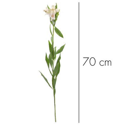 01900007_alstroemerien-mix-schnittblumen