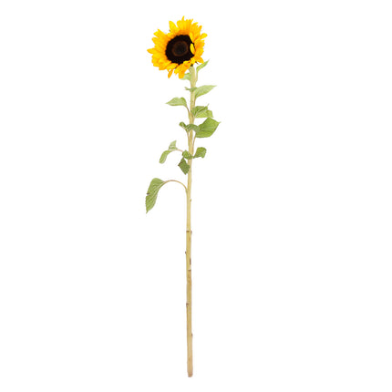 01900132_sonnenblume-schnittblume