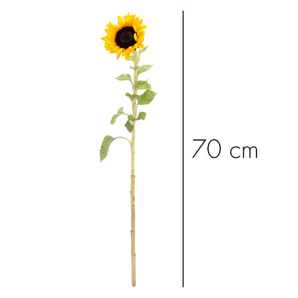 01900132_sonnenblume-schnittblume