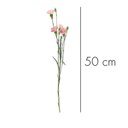 01900178_mini-nelken-mix-schnittblumen