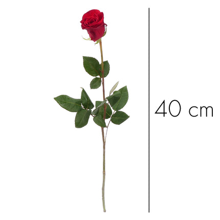 01900300_rote-grande-rose-40-cm-schnittblume
