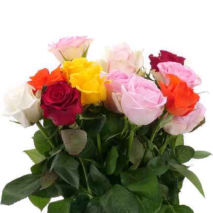 01900319_kurze-rosen-farbmix-schnittblumen