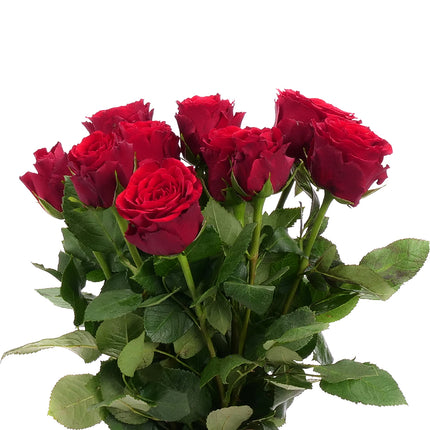 01900319_kurze-rosen-farbmix-schnittblumen