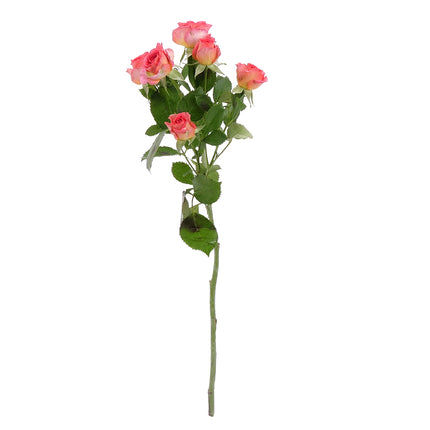 01900339_sprayrosen-mix-schnittblumen