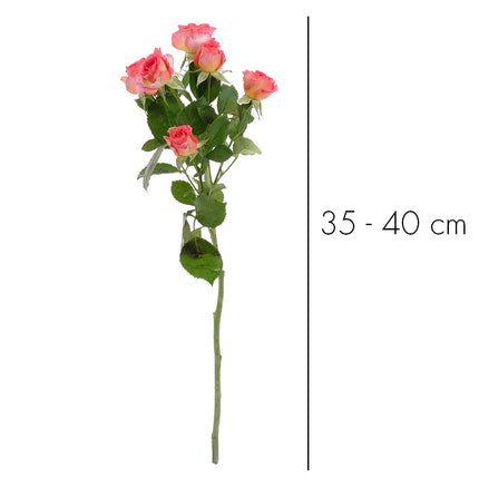 01900339_sprayrosen-mix-schnittblumen