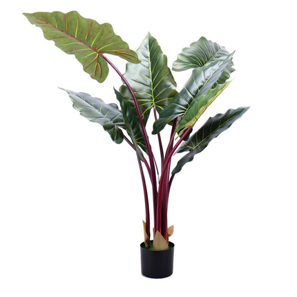 02000028_kunstliche-alocasia-im-topf-140-cm