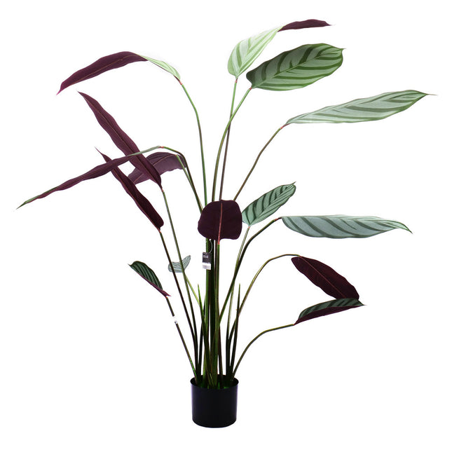 02000111_kunstliche-calathea-im-topf-140-cm