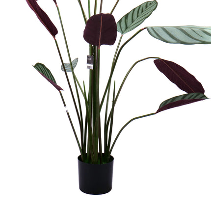 02000111_kunstliche-calathea-im-topf-140-cm