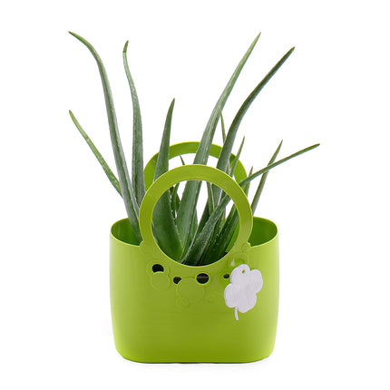 03000014_aloe-vera-in-der-kunststofftasche
