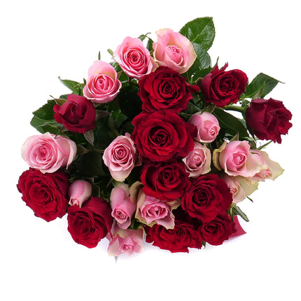 03000017_amore-rote-und-rosa-rosen