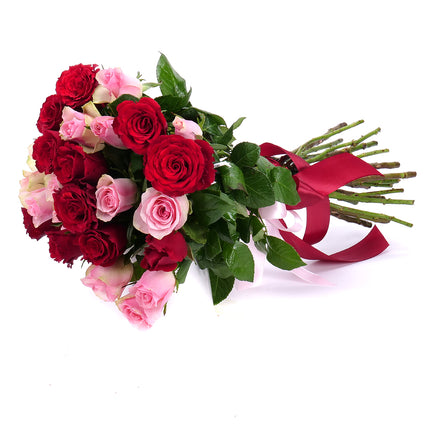 03000017_amore-rote-und-rosa-rosen