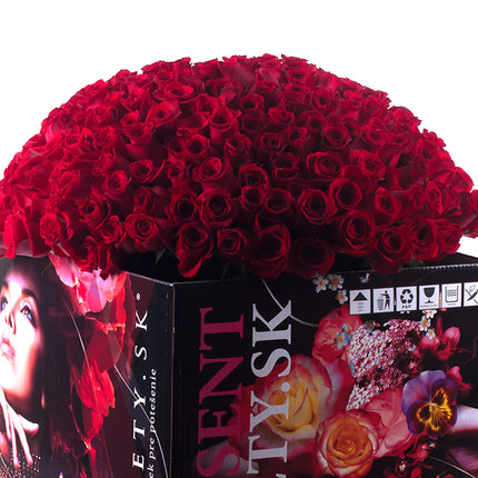 03000019_amore-250-rote-rosen