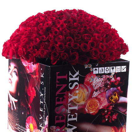 03000019_amore-250-rote-rosen