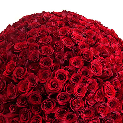 03000019_amore-250-rote-rosen
