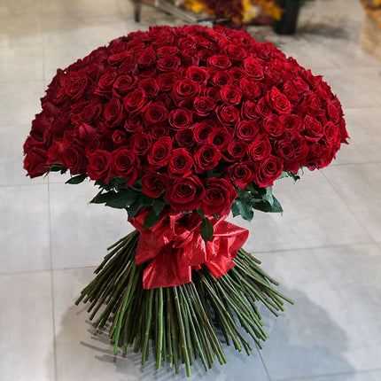 03000019_amore-250-rote-rosen