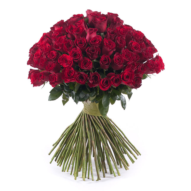 03000021_amore-rote-rosen-grand