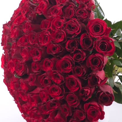 03000021_amore-rote-rosen-grand