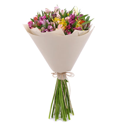 03000025_amore-bunte-alstroemerien