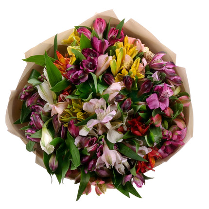 03000025_amore-bunte-alstroemerien