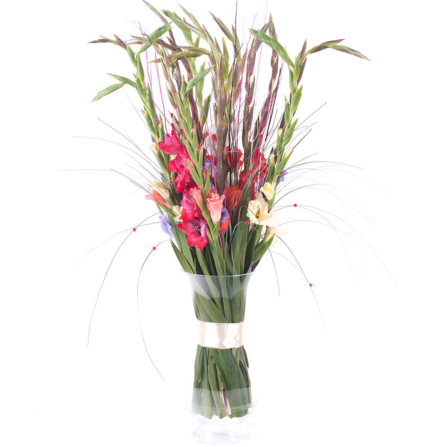 03000026_amore-farbige-gladiolen