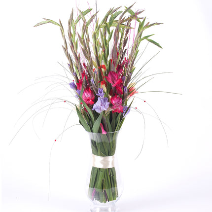 03000026_amore-farbige-gladiolen