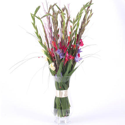 03000026_amore-farbige-gladiolen