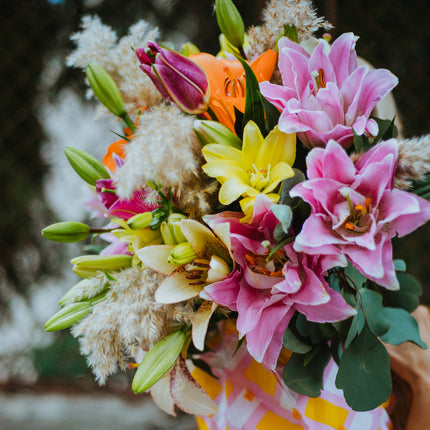 03000027_amore-bunte-lilien