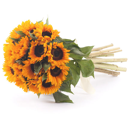 03000037_amore-sonnenblumen