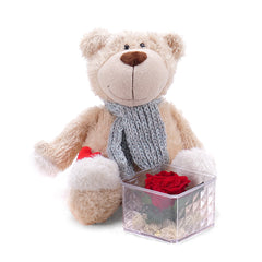 03000344_pluschbar-mit-herz-und-stabilisierter-rose