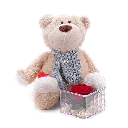 03000344_pluschbar-mit-herz-und-stabilisierter-rose