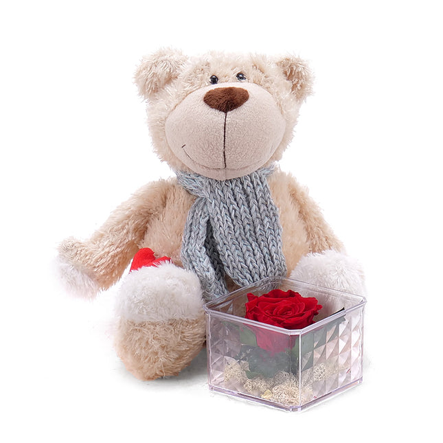 03000344_pluschbar-mit-herz-und-stabilisierter-rose