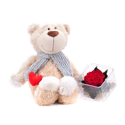 03000344_pluschbar-mit-herz-und-stabilisierter-rose