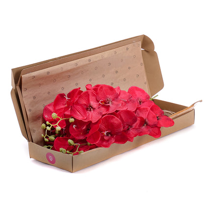 03000452_diy-kunstliche-bordeauxrote-orchideen-5-stuck