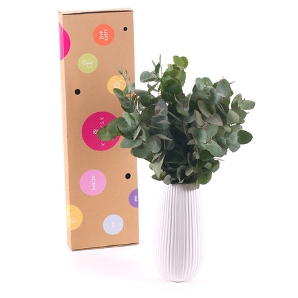 03000467_diy-eucalyptus-cinerea-fur-die-vase