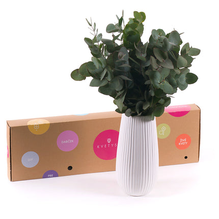 03000467_diy-eucalyptus-cinerea-fur-die-vase