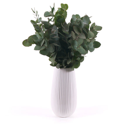 03000467_diy-eucalyptus-cinerea-fur-die-vase