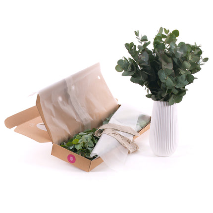 03000467_diy-eucalyptus-cinerea-fur-die-vase