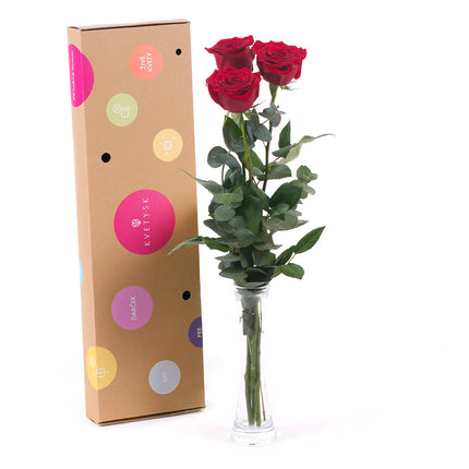 03000483_diy-drei-rote-schnittrosen