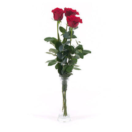 03000483_diy-drei-rote-schnittrosen