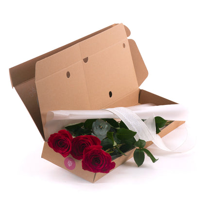 03000483_diy-drei-rote-schnittrosen