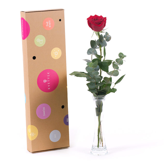 03000485_diy-strauss-mit-roter-rose