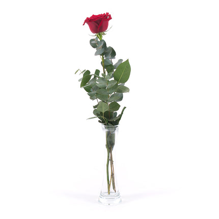 03000485_diy-strauss-mit-roter-rose