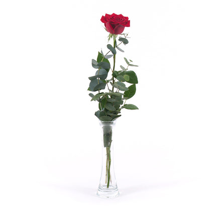 03000485_diy-strauss-mit-roter-rose